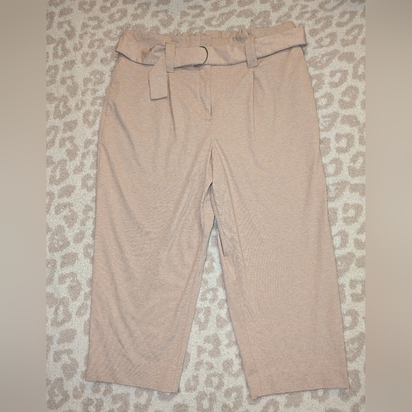 WORTHINGTON WOMEN'S CAPRI SLACKS TROUSERS PLUS SIZE XXL 2X - Picture 1 of 6